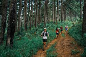 BIB: 
                            <button type="button" onclick="openModal(25671238)" class="btn btn-primary btn-sm float-right btn-popup" data-toggle="modal" data-target=".modal-high-quality">
                        <i class="fas fa-shopping-cart"></i> Add to Cart
                    </button>
                                            <button type="button" onclick="isThisMe(25671238, true)" class="btn btn-success btn-sm float-right btn-popup btn-isme hidden" data-toggle="tooltip" data-placement="bottom" title="นี่คือรูปของคุณใช่ไหม คลิกที่นี่เพื่อเอาเข้าอัลบั้ม">
                        <i class="fas fa-plus"></i> Add to album
                    </button>
                    <button type="button" onclick="isThisMe(25671238, false)" class="btn btn-warning btn-sm float-right btn-popup btn-isnotme hidden">
                        <i class="fas fa-ban"></i> Remove from album
                    </button>